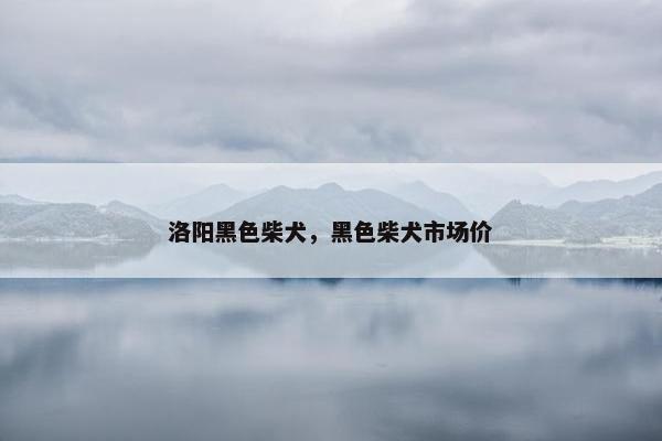 洛阳黑色柴犬，黑色柴犬市场价