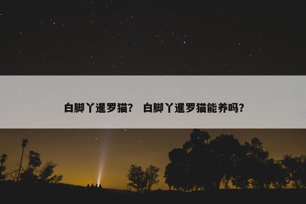 白脚丫暹罗猫？ 白脚丫暹罗猫能养吗？