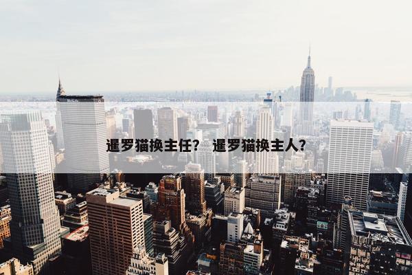 暹罗猫换主任？ 暹罗猫换主人？