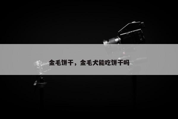 金毛饼干，金毛犬能吃饼干吗
