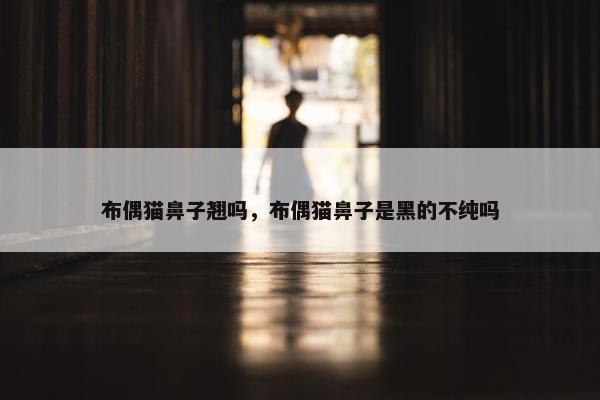 布偶猫鼻子翘吗，布偶猫鼻子是黑的不纯吗