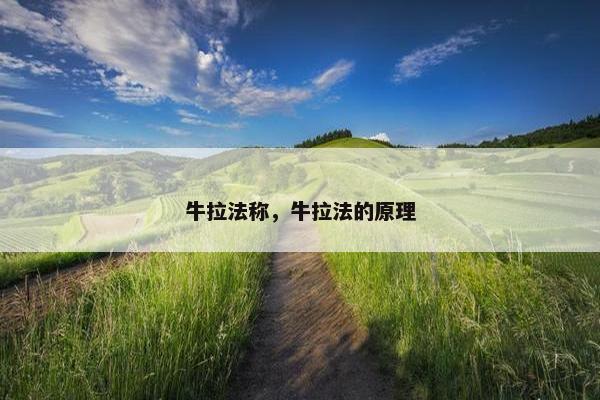 牛拉法称，牛拉法的原理