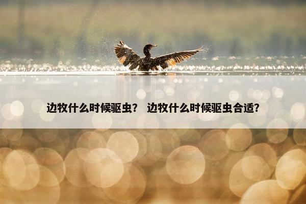 边牧什么时候驱虫？ 边牧什么时候驱虫合适？