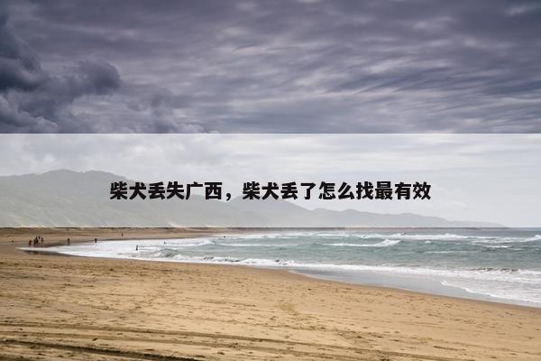 柴犬丢失广西，柴犬丢了怎么找最有效