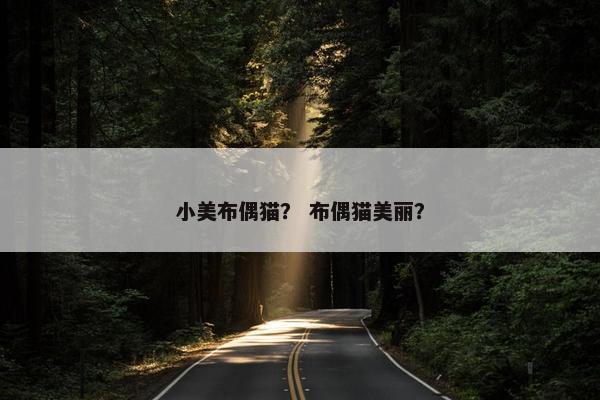 小美布偶猫？ 布偶猫美丽？