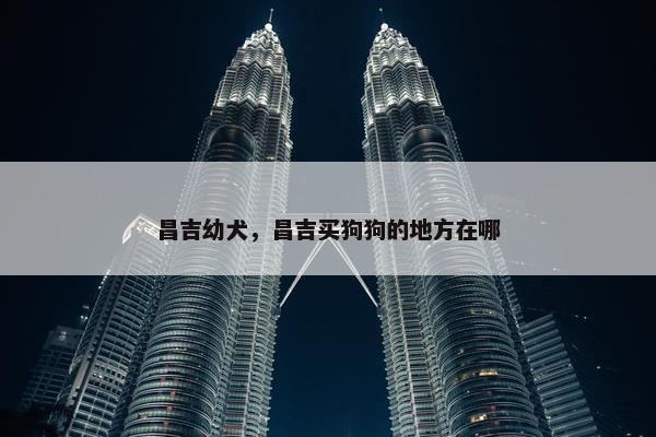 昌吉幼犬，昌吉买狗狗的地方在哪
