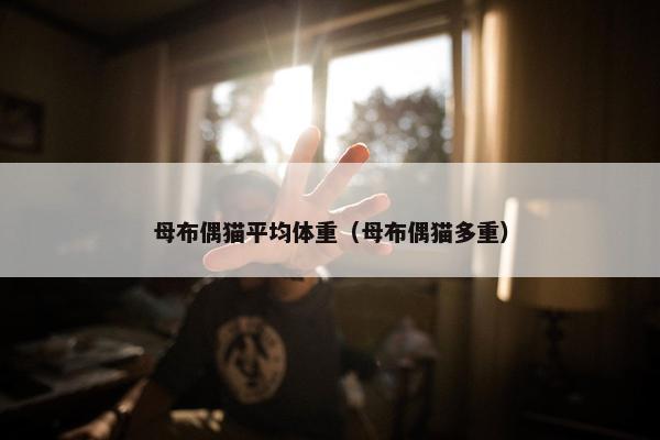 母布偶猫平均体重（母布偶猫多重）