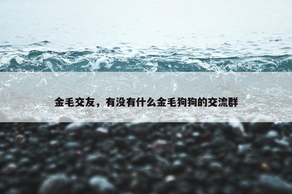 金毛交友，有没有什么金毛狗狗的交流群