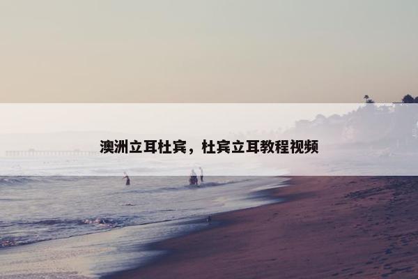 澳洲立耳杜宾，杜宾立耳教程视频