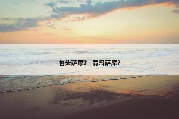 包头萨摩？ 青岛萨摩？