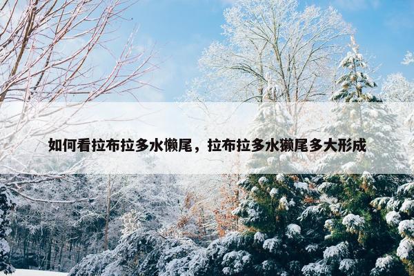 如何看拉布拉多水懒尾，拉布拉多水獭尾多大形成