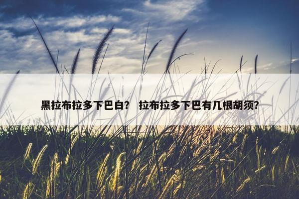 黑拉布拉多下巴白？ 拉布拉多下巴有几根胡须？