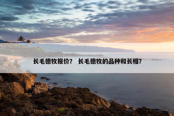 长毛德牧报价？ 长毛德牧的品种和长相？