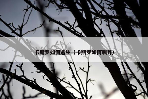 卡斯罗如何逃生（卡斯罗如何驯养）