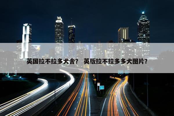 英国拉不拉多犬舍？ 英版拉不拉多多犬图片？