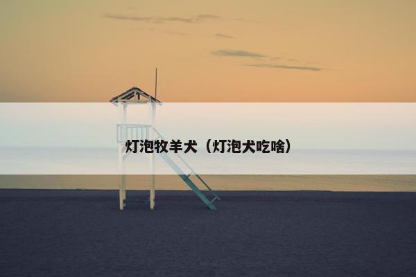 灯泡牧羊犬（灯泡犬吃啥）