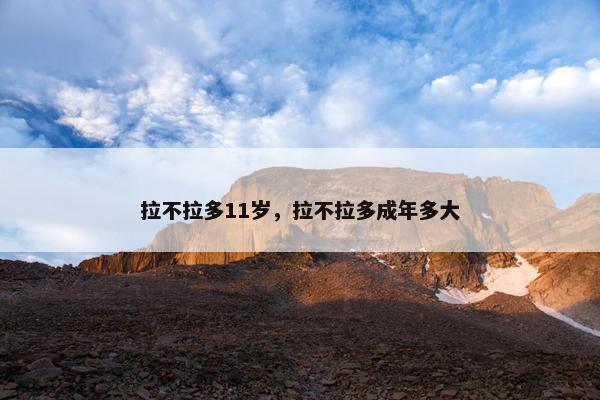 拉不拉多11岁，拉不拉多成年多大
