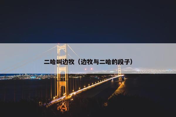 二哈叫边牧（边牧与二哈的段子）