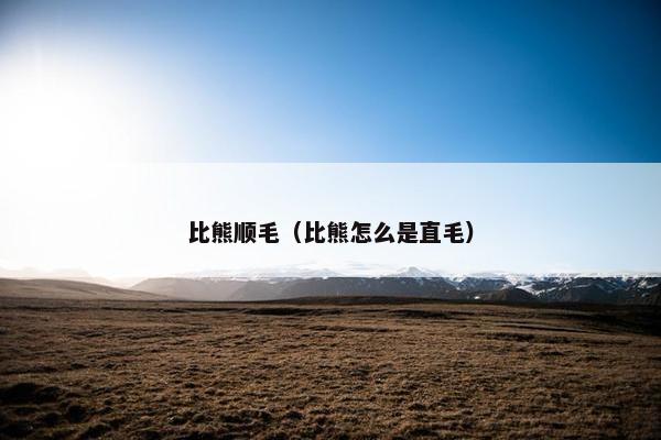 比熊顺毛（比熊怎么是直毛）