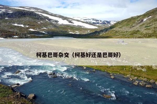 柯基巴哥杂交（柯基好还是巴哥好）