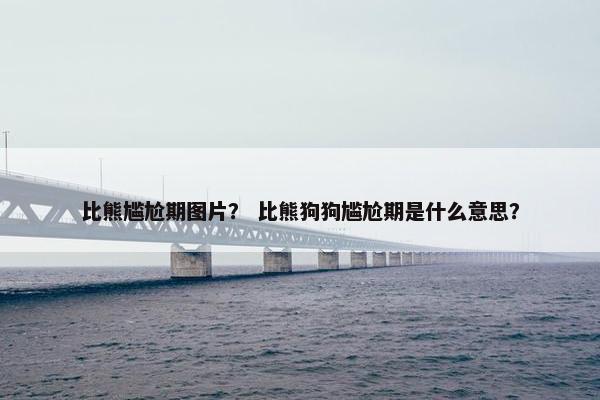 比熊尴尬期图片？ 比熊狗狗尴尬期是什么意思？