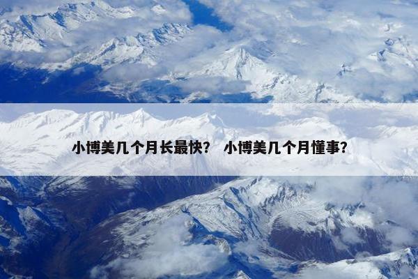 小博美几个月长最快？ 小博美几个月懂事？