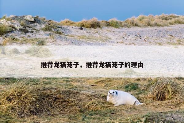 推荐龙猫笼子，推荐龙猫笼子的理由