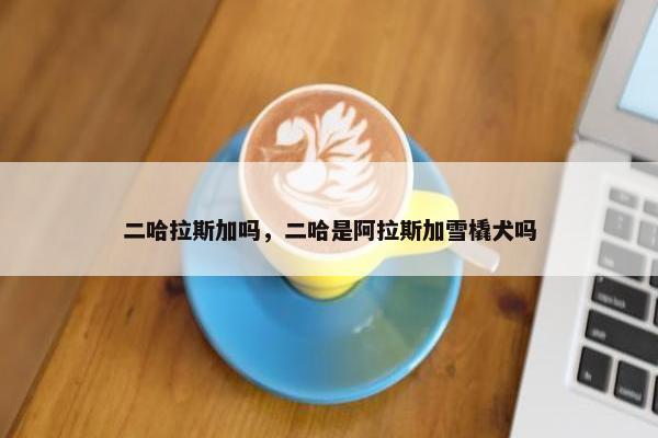 二哈拉斯加吗，二哈是阿拉斯加雪橇犬吗