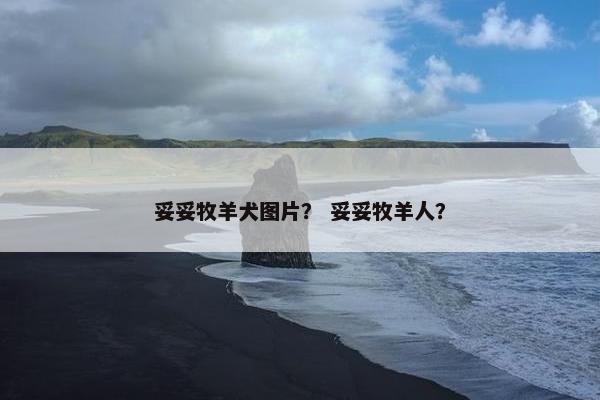 妥妥牧羊犬图片？ 妥妥牧羊人？