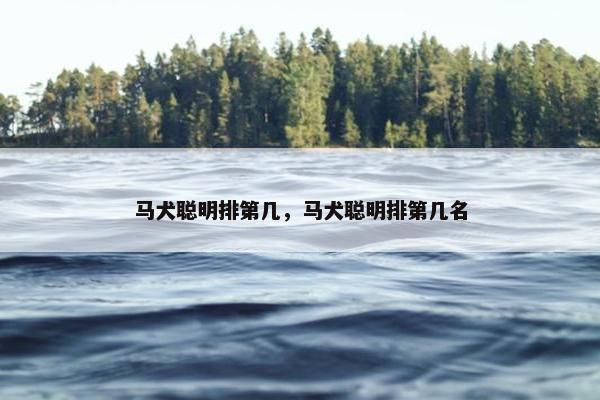 马犬聪明排第几，马犬聪明排第几名