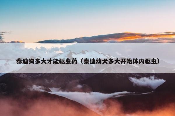 泰迪狗多大才能驱虫药（泰迪幼犬多大开始体内驱虫）