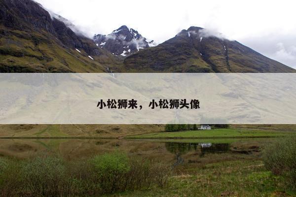 小松狮来，小松狮头像
