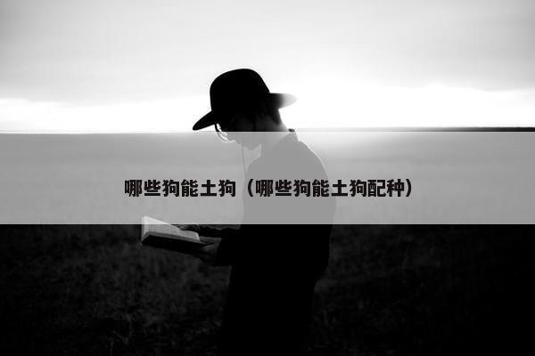 哪些狗能土狗（哪些狗能土狗配种）