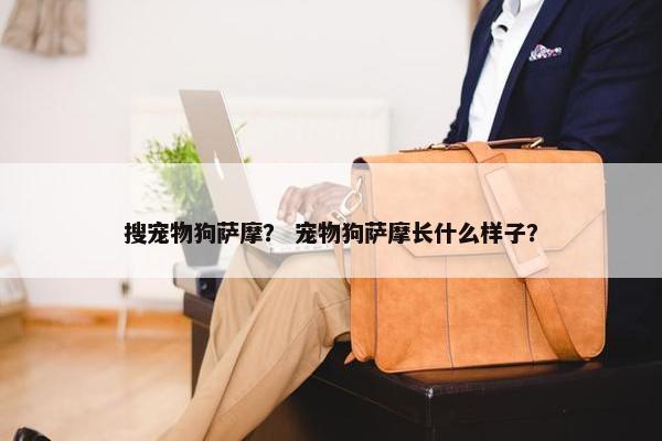 搜宠物狗萨摩？ 宠物狗萨摩长什么样子？