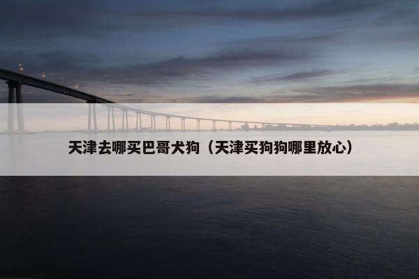 天津去哪买巴哥犬狗（天津买狗狗哪里放心）