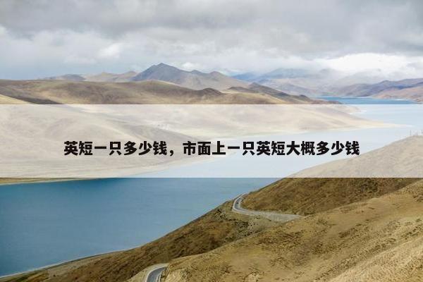英短一只多少钱，市面上一只英短大概多少钱