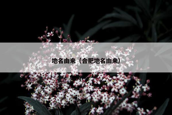地名由来（合肥地名由来）