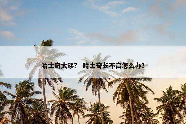 哈士奇太矮？ 哈士奇长不高怎么办？