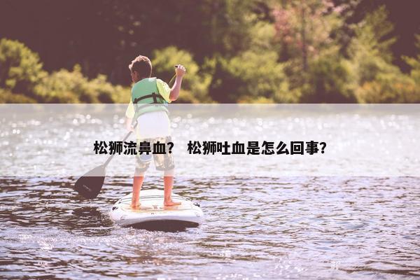 松狮流鼻血？ 松狮吐血是怎么回事？