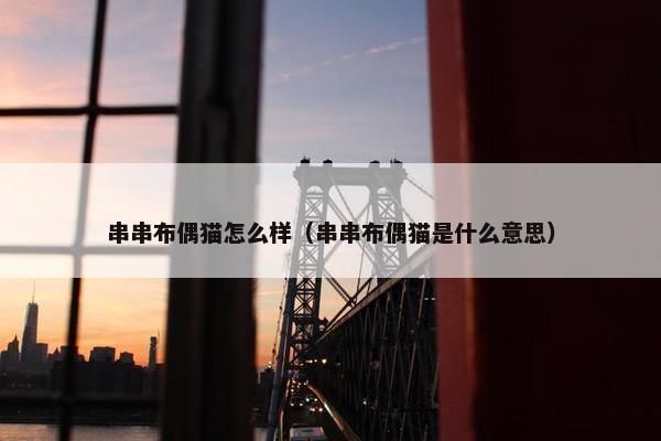 串串布偶猫怎么样（串串布偶猫是什么意思）