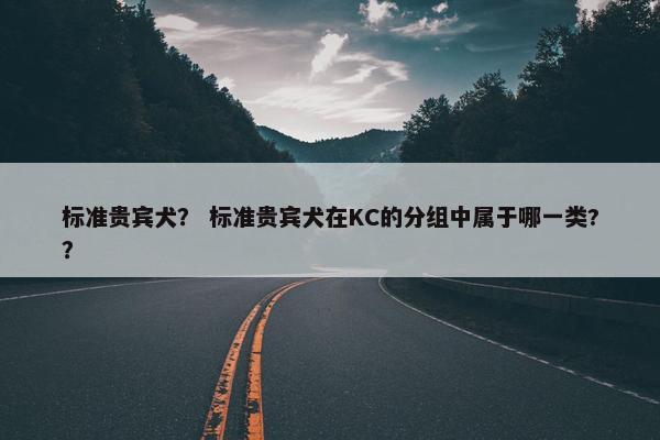 标准贵宾犬？ 标准贵宾犬在KC的分组中属于哪一类?？