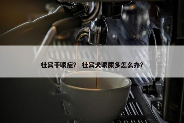 杜宾干眼症？ 杜宾犬眼屎多怎么办？