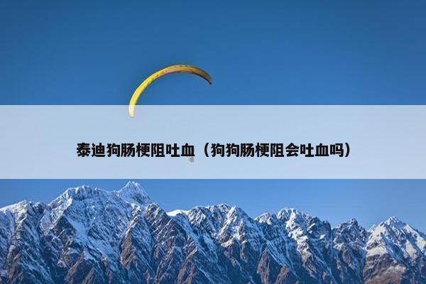 泰迪狗肠梗阻吐血（狗狗肠梗阻会吐血吗）