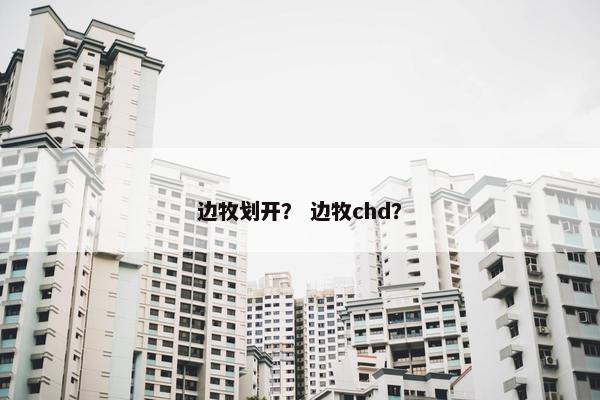 边牧划开？ 边牧chd？