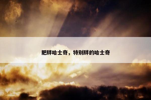 肥胖哈士奇，特别胖的哈士奇