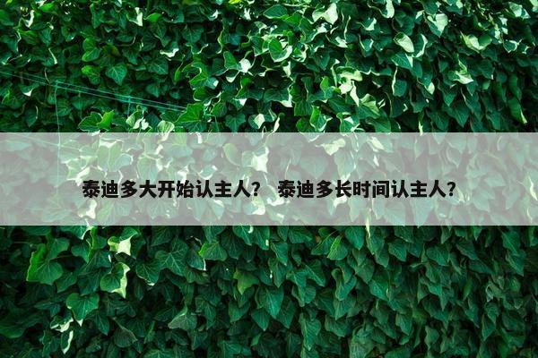 泰迪多大开始认主人？ 泰迪多长时间认主人？
