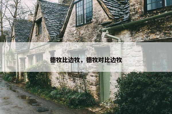 德牧比边牧，德牧对比边牧