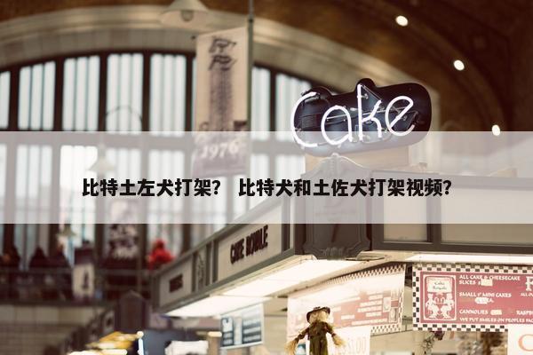 比特土左犬打架？ 比特犬和土佐犬打架视频？