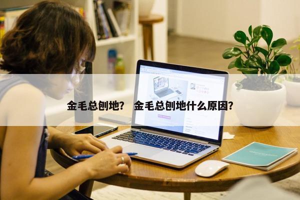 金毛总刨地？ 金毛总刨地什么原因？