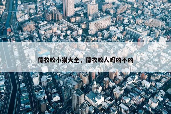 德牧咬小猫大全，德牧咬人吗凶不凶